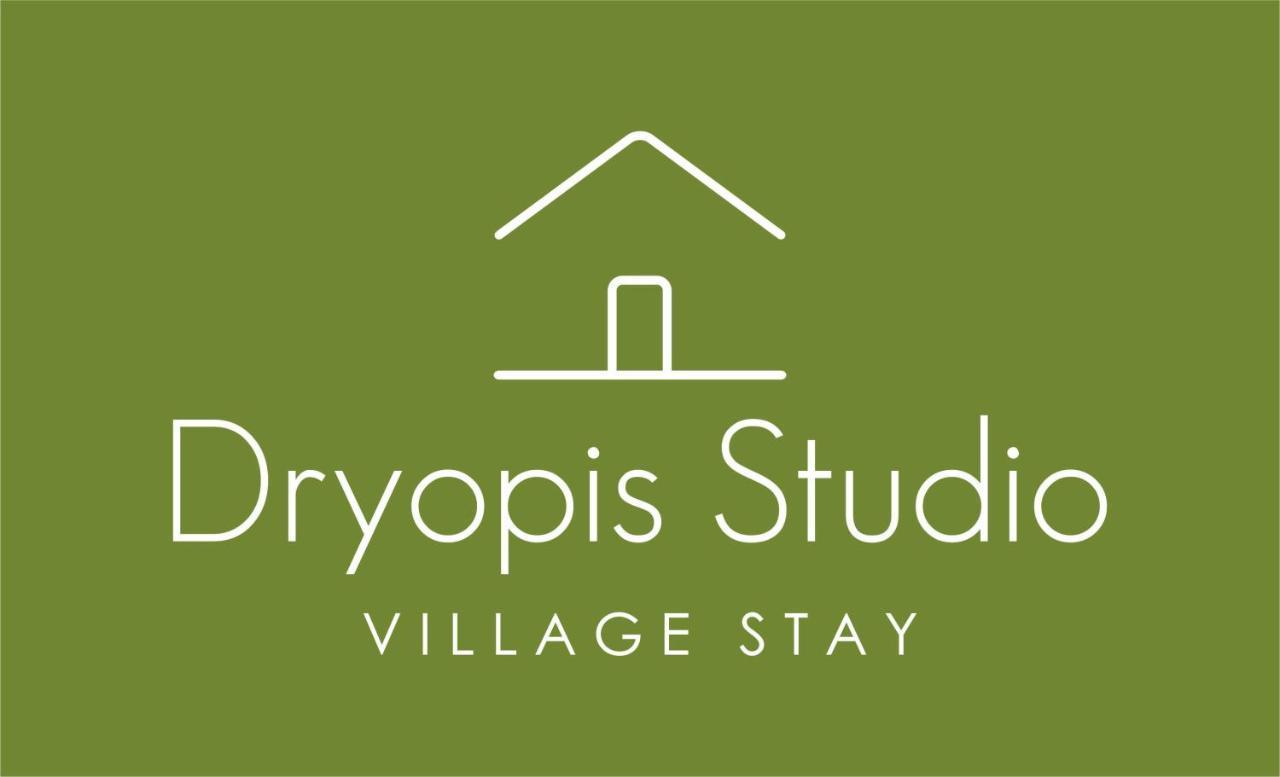Dryopis Studio Dhriopís Eksteriør billede
